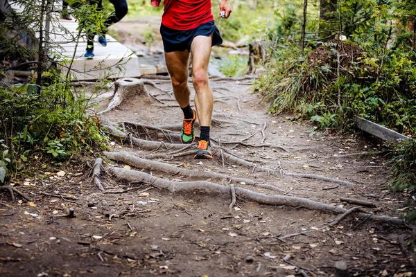 Marathon runner running in woods