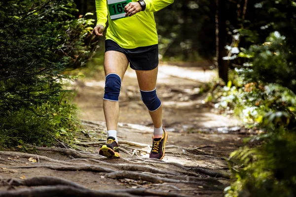 Athlete marathon runner running in woods