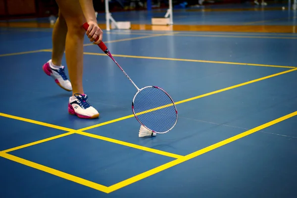 Badminton courts with player competing