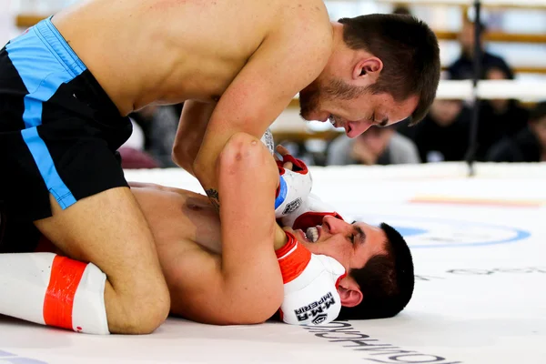 Mixed martial arts fighter during the fight