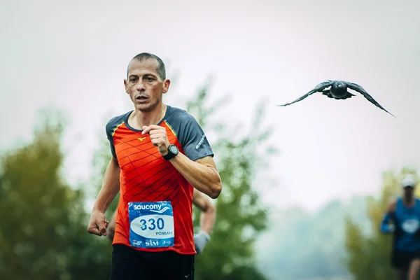 Man middle-aged runner running after him flying pigeon