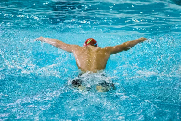 Malel athlete swims butterfly
