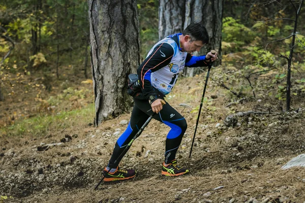 Male athlete middle-aged rises along a forest trail with nordic walking poles