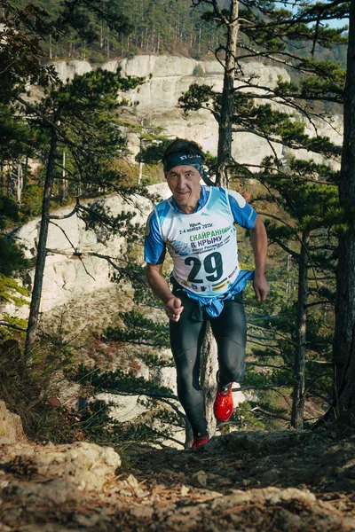 Man, middle-aged runner runs distance of race uphill in a pine forest