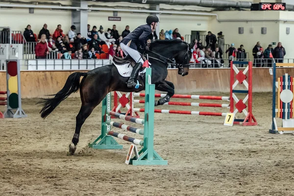 Young male rider horse overcomes obstacles sports complex