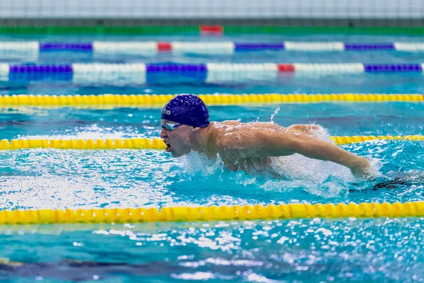 Young male athlete swimming butterfly stroke in pool