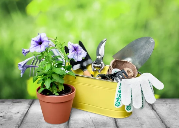 Gardening, Gardening Equipment, Isolated.