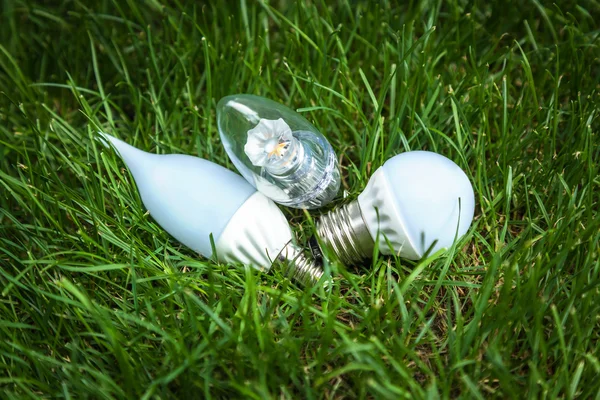 LED bulbs, Energy Saving Lamp, advanced technology, eco, grass, lamp, white, energy, lighting, lights, green