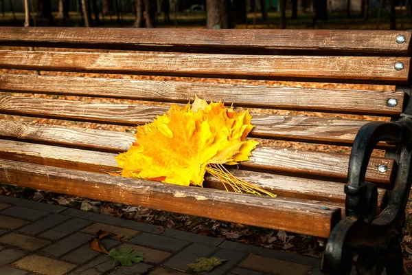 Yellow maple leaves, autumn park, golden Autumn time, the yellow