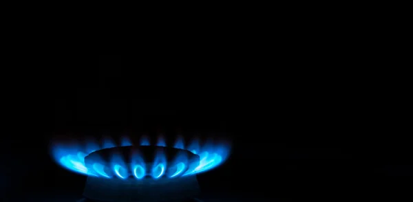 Burning gas stove hob blue flames close up in the dark on a black