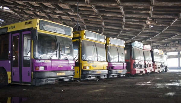 Abandoned bus fleet