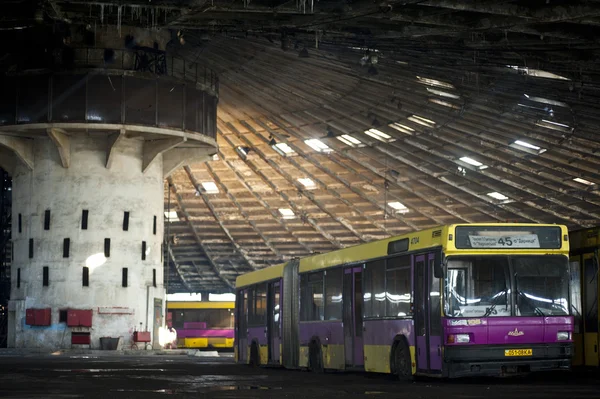 Abandoned bus fleet
