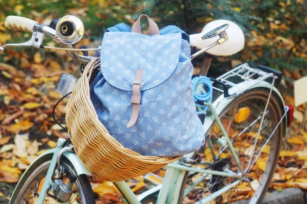 Backpack in a bike basket