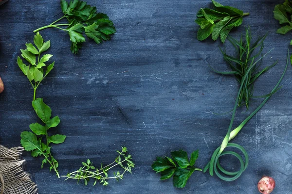 Fresh herbs frame on dark background, top view