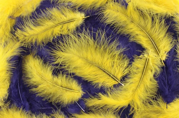 Blue and yellow plumes background