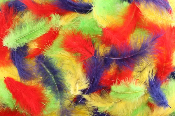 Background - small red, blue, green, yellow plumes situated irregularly