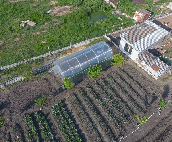 Top view of the garden with a greenhouse made of polycarbonate