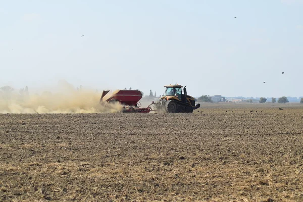 Tractor rides on the field and makes the fertilizer into the soil. Fertilizers after plowing the field.