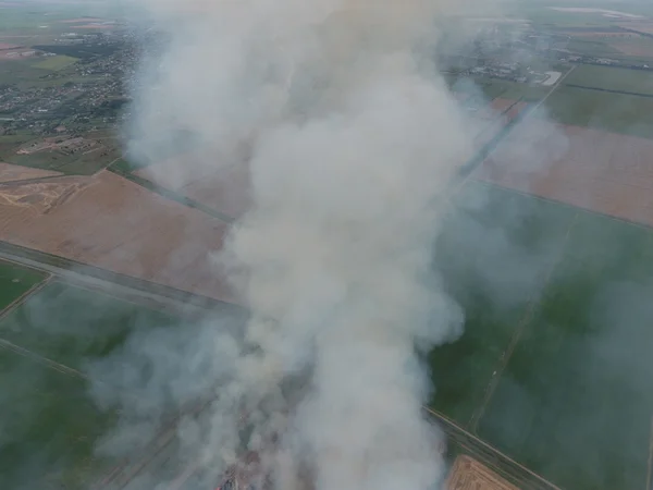 Burning straw in the fields