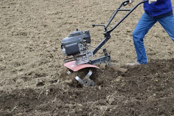 Planting potatoes under the walk-behind tractor