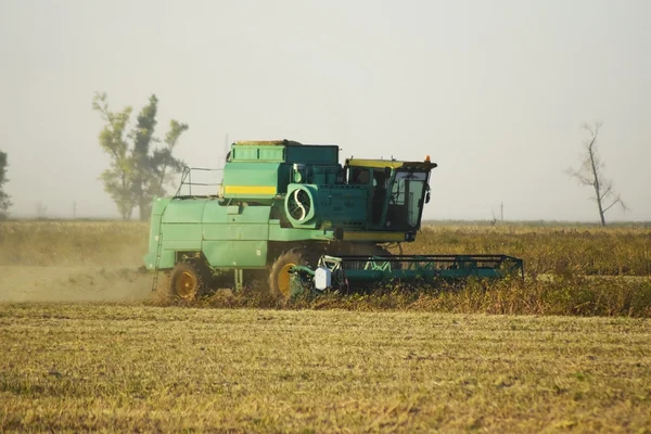 Soy harvesting by combines in the field.
