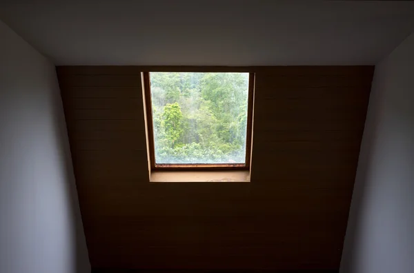 Roof window with trees in background