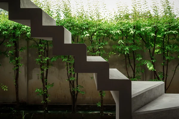 Floating concrete stairways with green plants and wall