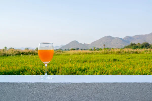 Glass of orange drink with back ground of mountains and grass field