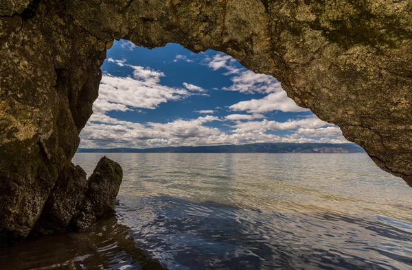 Wildlife of lake Baikal