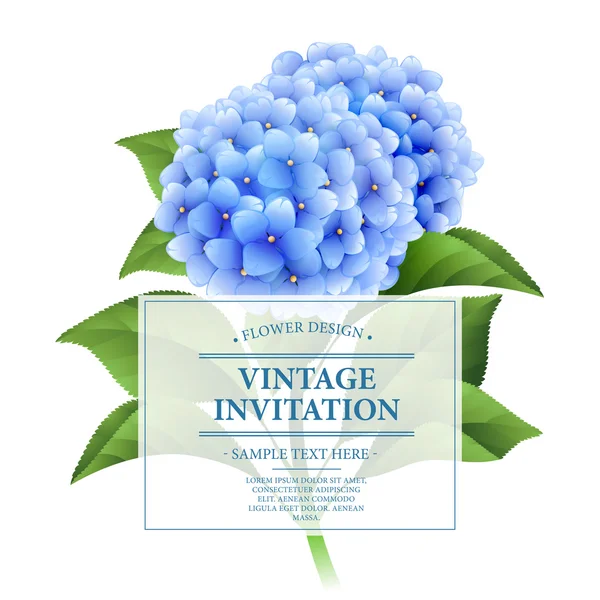 Invitation card. Blue hydrangea flowers. Vintage floral card.  Vector illustration