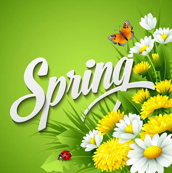 Fresh spring background with  dandelions and daisies