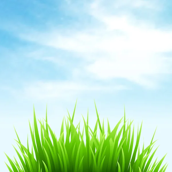 Clean spring amazing scenery. Vector illustration