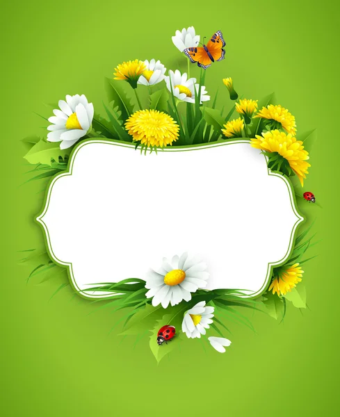 Fresh spring background with grass, dandelions and daisies