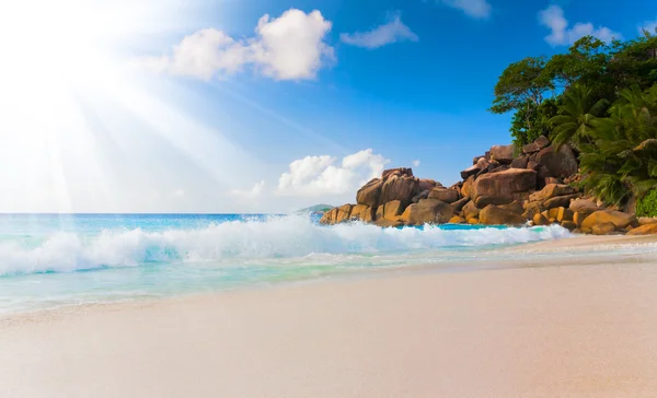 Sea beach blue sky sand sun daylight relaxation landscape viewpoint for postcard seychelles