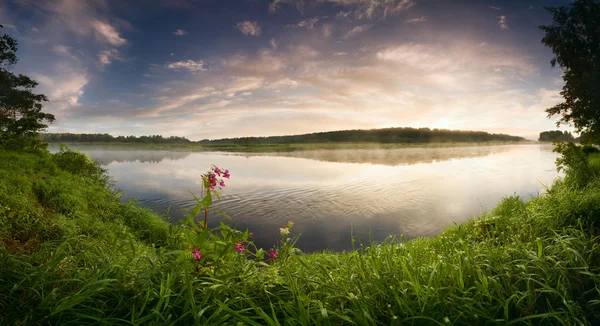 Fantastic foggy river with flowers and fresh green grass in the sunlight, summer concept