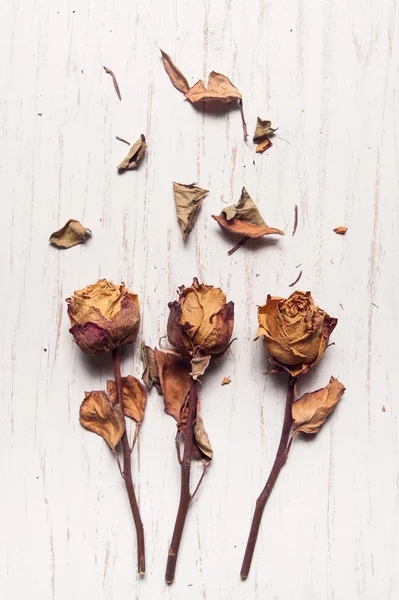 Dried roses on white wooden table top