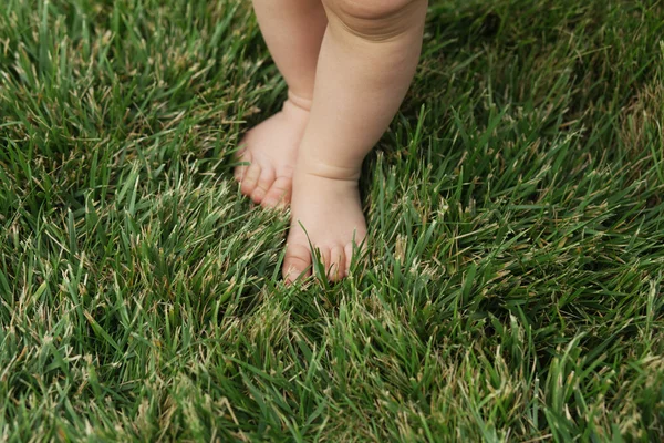 Baby standing barefoot on the green lawn