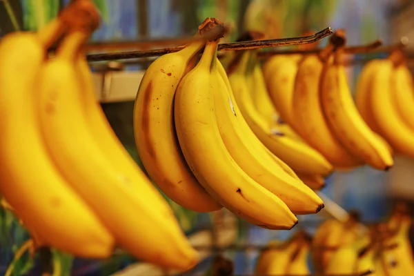 Rotten bananas sold in supermarkets in the Third World