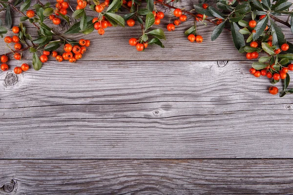 Orange Pyracantha berries on old wooden texture board