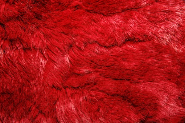 Close-up of lapin colored fur for texture background