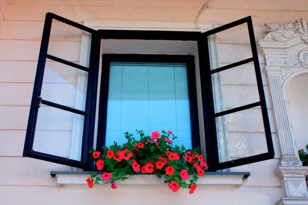 Vintage window with flower box.