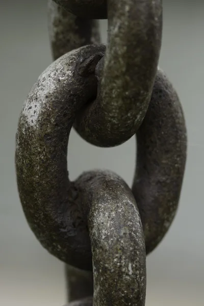 Rusty Anchor Chain Link