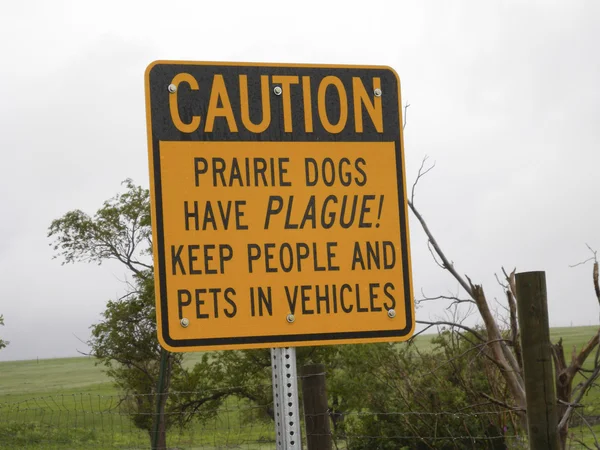 Prairie Dogs Have PLAGUE!