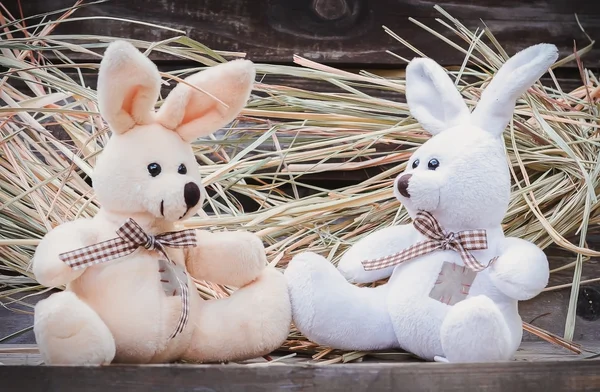Two toy rabbit