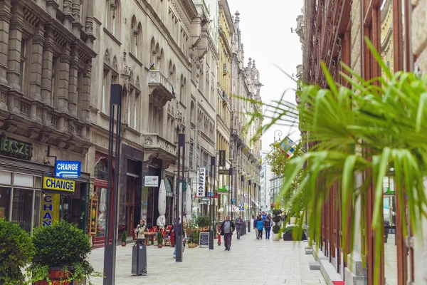 Architecture in street of Budapest