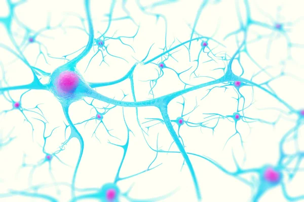 Neurons in the brain on white background with focus effect. 3d illustration