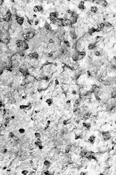 Texture background of rough stone, black and white. The peeling