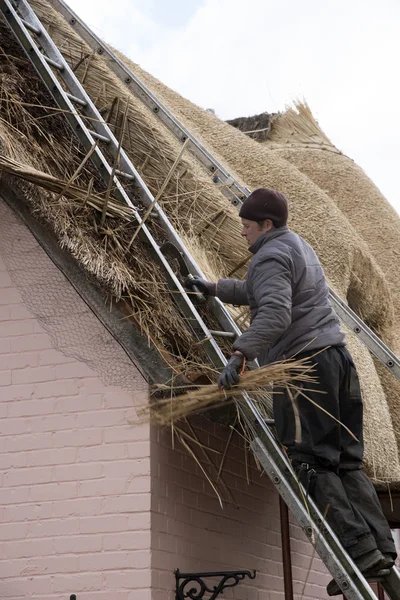 A Master teacher working on a thatched roof England UK