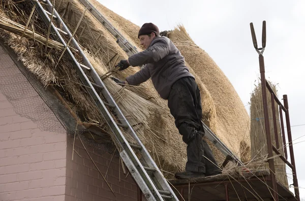 A Master teacher working on a thatched roof England UK