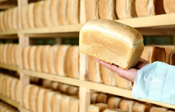 Bread in the man hands Bakery Stocks bread Manufacture of rusks.